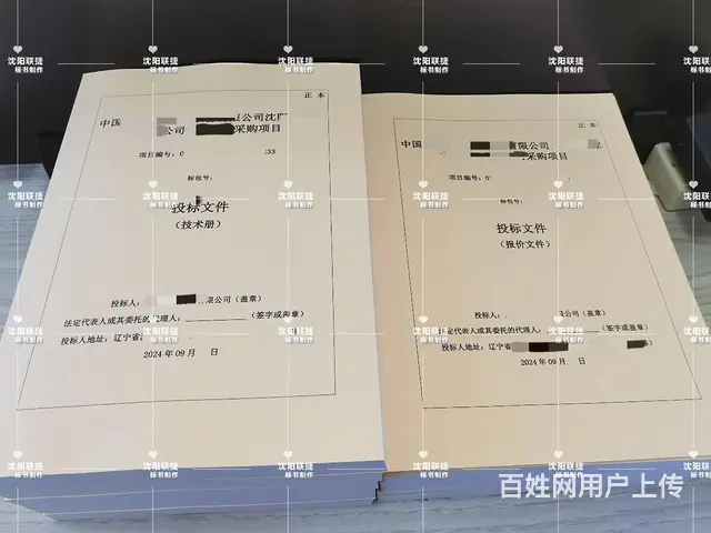 沈阳标书代做专业团队+全程保密 - 图片 4
