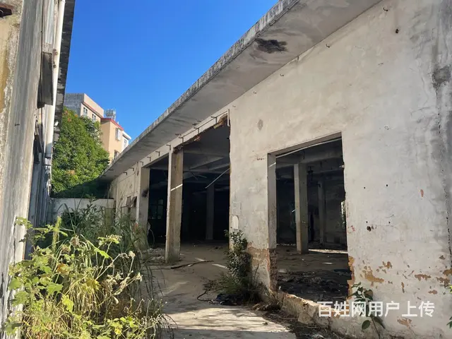 厂房仓库出租 - 图片 4