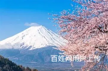 临沂韩语零基础暑假速成学习班|小语种培训班 - 图片 5