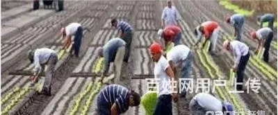 澳洲，加拿大，新西兰（工签）年薪40万以上 - 图片 2