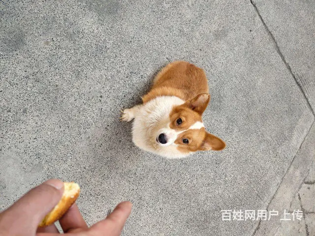 孩子住校不想养了 - 图片 3