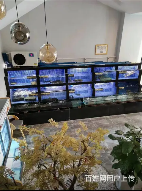 （51旺铺推荐）西山区未名城800平餐厅转让 - 图片 3