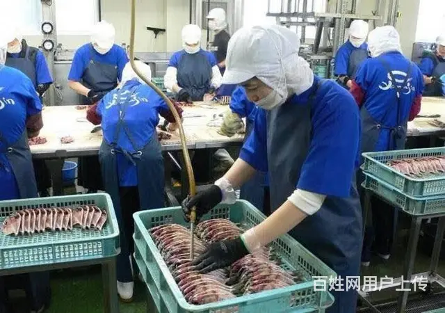 高薪急招！（加拿大项目）正规保签-零费用！ - 图片 1