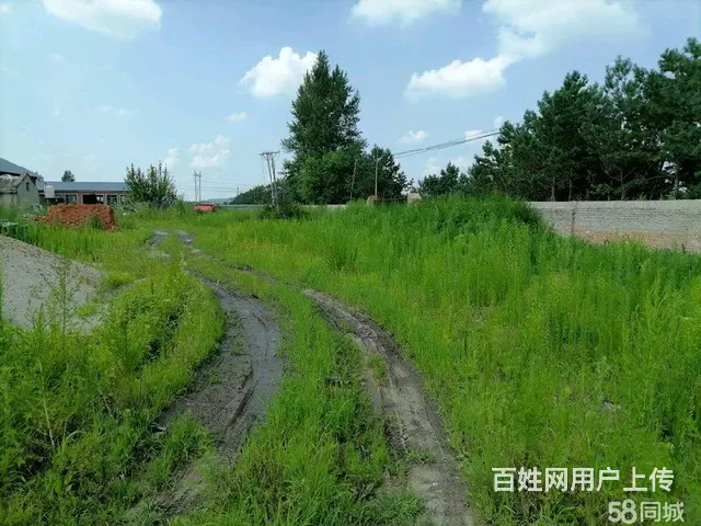 阿城蜚克图镇厂房出售 - 图片 4