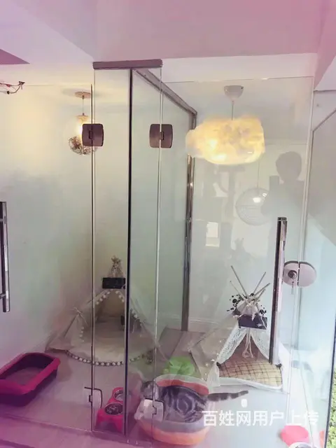 旺铺居）万达广场商业街宠物老店整体转让或空转 - 图片 8