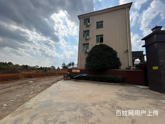 （老板本人）浏阳市普迹镇标准钢结构厂房（非中介）出租5946 - 图片 4