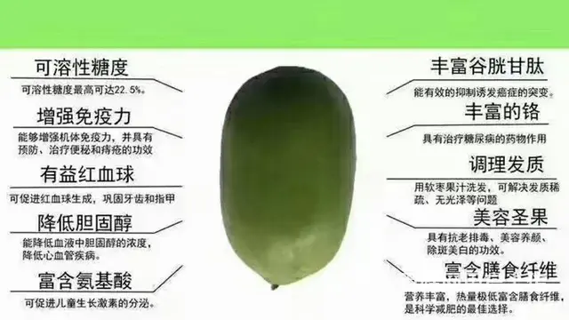 软枣猕猴桃苗 - 图片 3