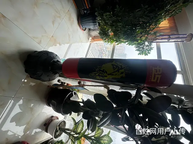 立式沙袋拳击 - 图片 1