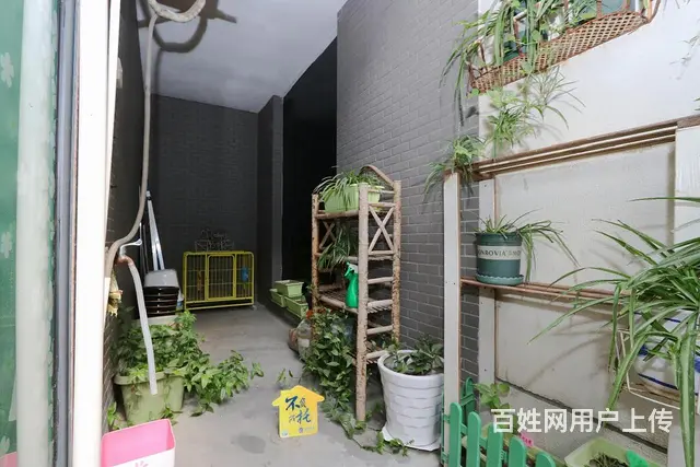 庭院深深 带花园 税 户型好 多房朝南 - 图片 9