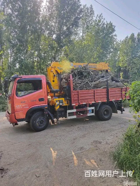 5吨蓝牌随车吊市区不限行 - 图片 4