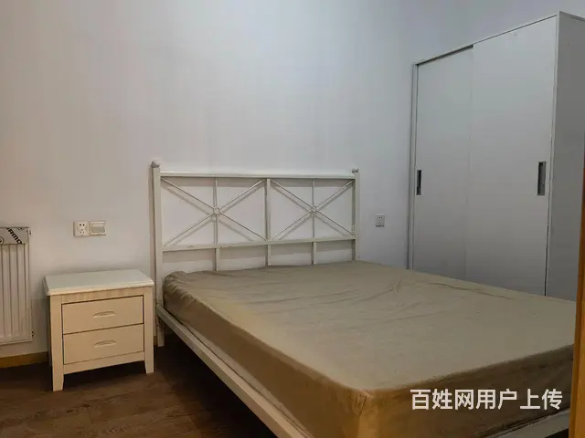 白沙洲精装三房出租 - 图片 8
