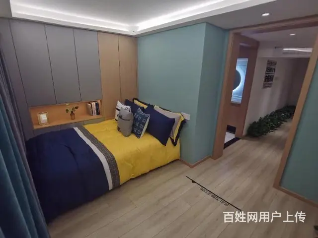 急售环球港旁复试挑高公寓单价9999起准现房民用水电落地窗 - 图片 3