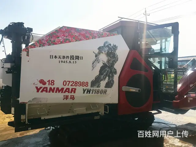 24年1180 - 图片 7