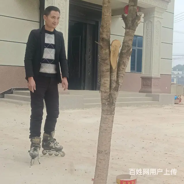 单身哥哥找对象 - 图片 1