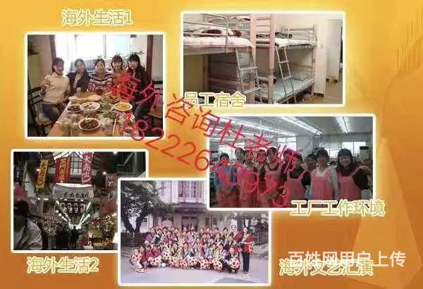 出国全球（无费用）年薪60万华人雇主直招 - 图片 3