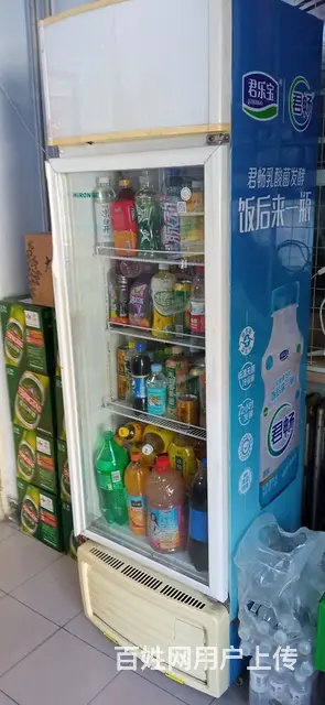 双开门冷藏柜 - 图片