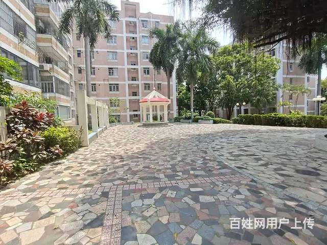 九洲港码头 九洲花园  黄金楼层  全新精装3房 南北通透 - 图片 11