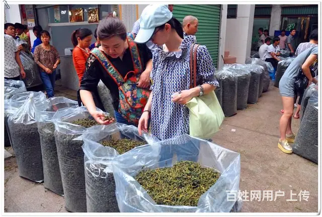 厦门茶艺师证评茶员证考点在哪? 2025年 新 - 图片 6