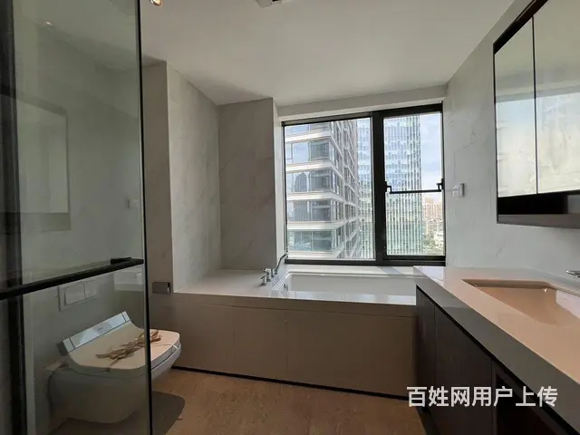 长江中心 270度看江 武昌豪宅代表 4房3卫 大 - 图片 10