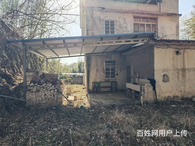 自建二层小洋房 - 图片 2