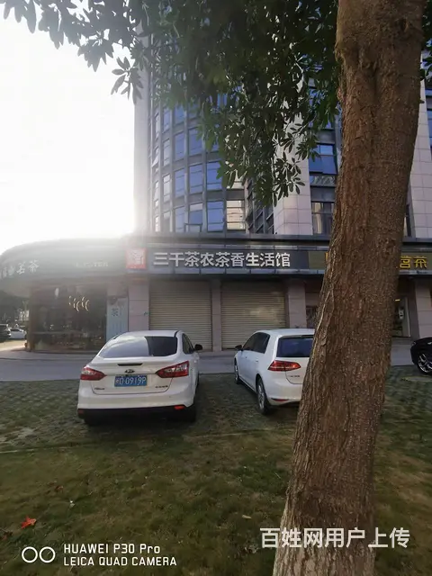 金尚 大面积店面招租没有费 停车方便 欢迎来电咨询 - 图片 5