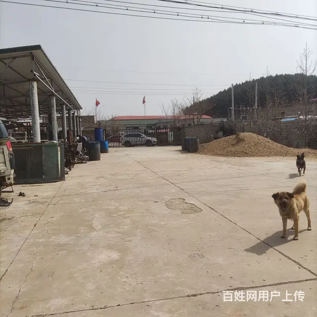 厂房出租。电 - 图片 4