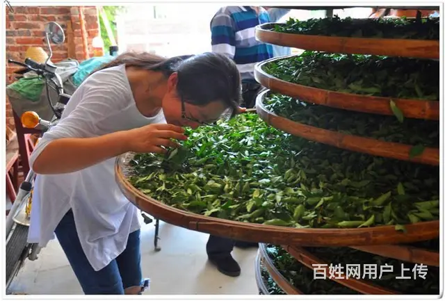 10月11日天晟茶艺培训完全改变了你对茶艺的认知 - 图片 5