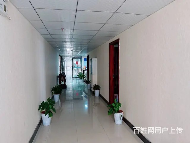 （老板本人）天心区龙盛高科园区标准仓库办公楼优价出租5993 - 图片 8