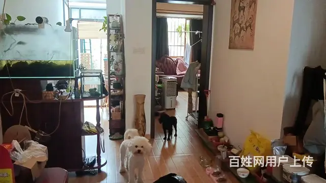 田林苑 普通住宅 精装修 - 图片 4