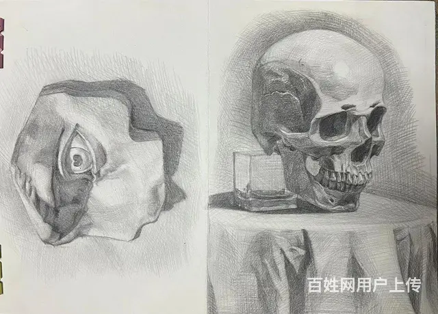 零基础学画画学素描 - 图片 1