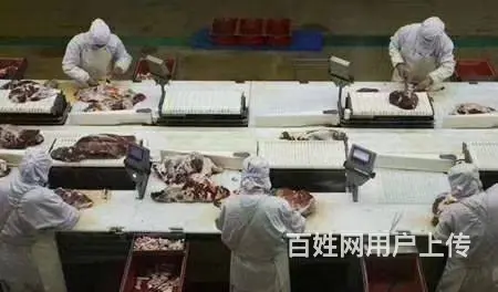 保签正规出国劳务澳大利亚丨新西兰丨工种多年薪40万 - 图片 9