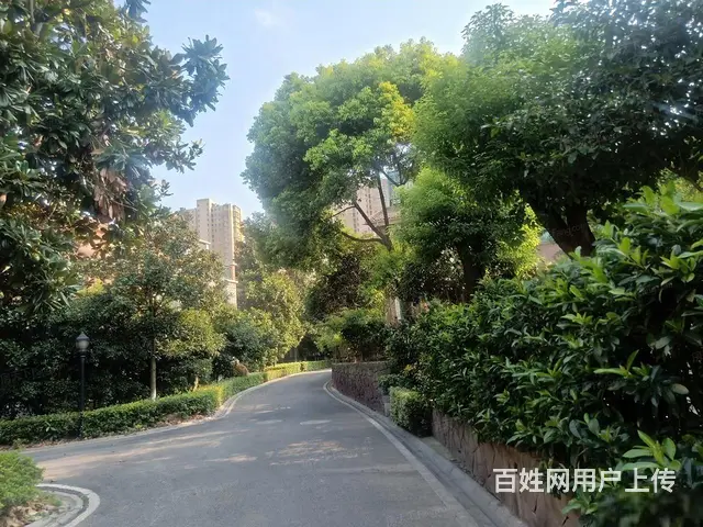 红梅公园旁桃花院子叠加别墅192-371平毛坯均价18000 - 图片 6