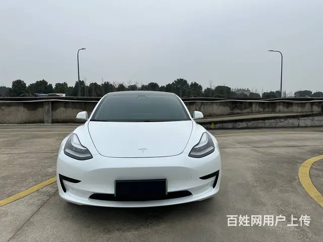 特斯拉Model 3 2020款 标准续航后驱升级版 - 图片 1