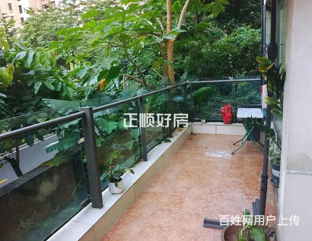 青茂口岸旁 华发世纪城四期1楼带花园售236万精装三房 - 图片 6