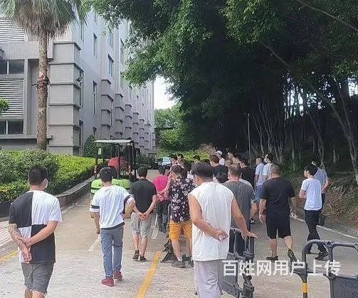 叉车培训考证、多少钱报考叉车证 - 图片 1