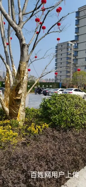 宜春天秀湾德和领秀广场华硕春江月三房四房 - 图片 1