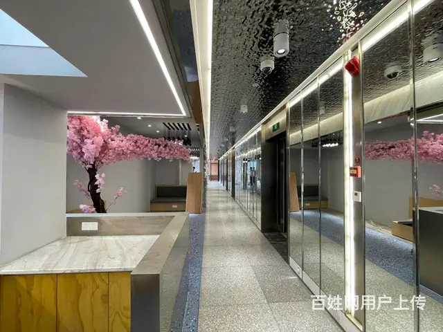 大象国际中心，精装出租300至5500方，部分户型带小露台！ - 图片 7