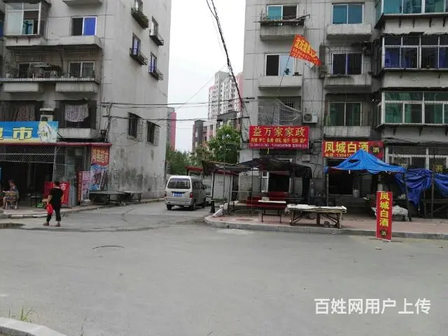 免费 相亲联谊会 - 图片 10
