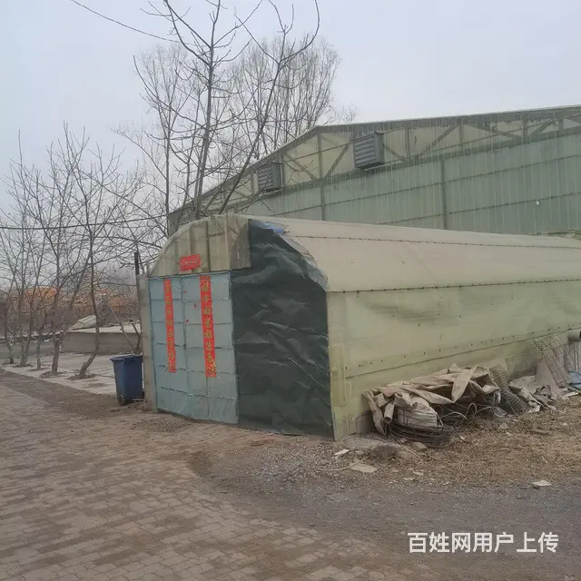 鱼塘岀租 - 图片 4