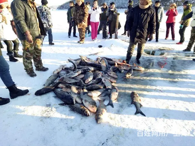 雪乡-雪谷-亚布力-长白山旅游包车拼车价格 - 图片 9