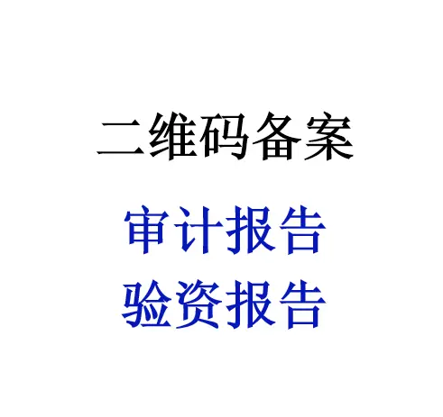 23年投标审计报告，先办理满意再付款，免费修改 - 图片 3