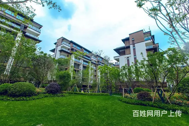超低价叠拼别墅。 - 图片 3