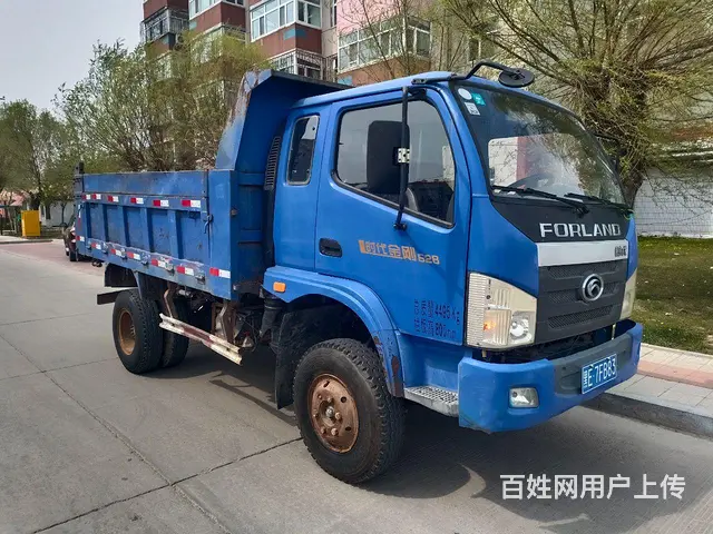 大庆蓝牌，4102机器 - 图片 1