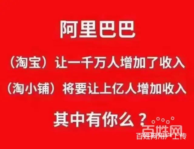 ：淘小铺资讯|淘小铺中菊导师 - 图片 4