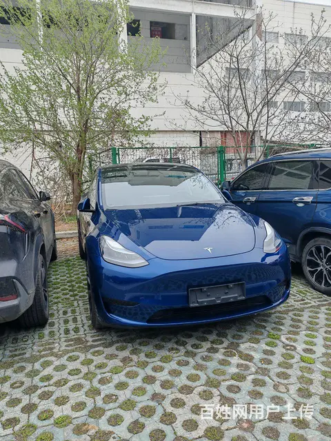 特斯拉Model 3 2020款 长续航后轮驱动版(改款 - 图片 1