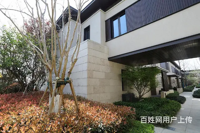万科良渚文化村 独栋别墅 品质小区 - 图片 3