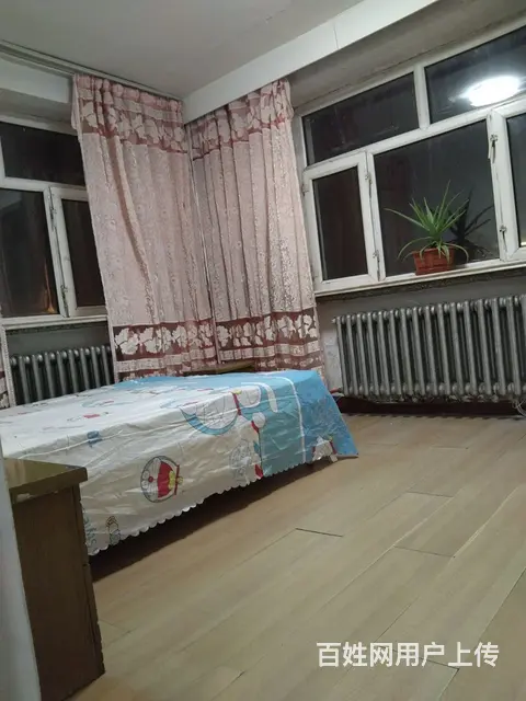 房屋出租 - 图片 4