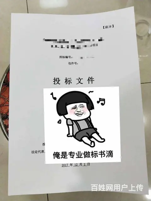 枣庄标书制作【24小时全天候专业标书制作】 - 图片 6