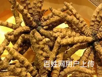 兰州七里河比较公道的回收补品服务平台 - 图片 3