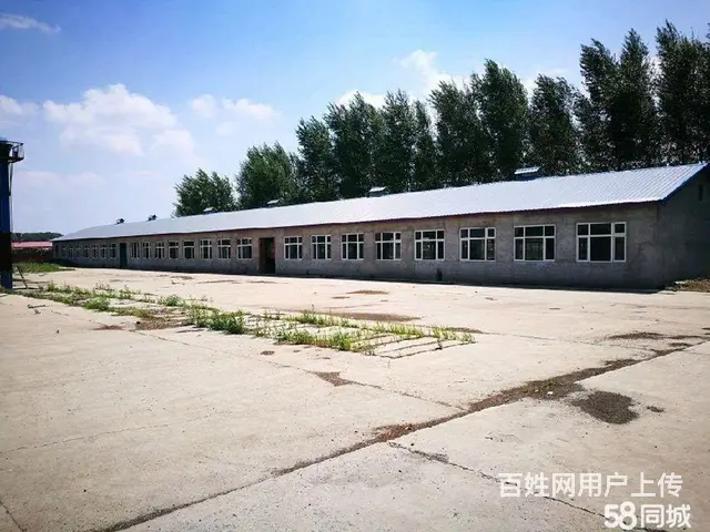 厂房出售 - 图片 9